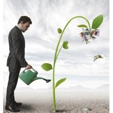 Grow and scale your affiliate business